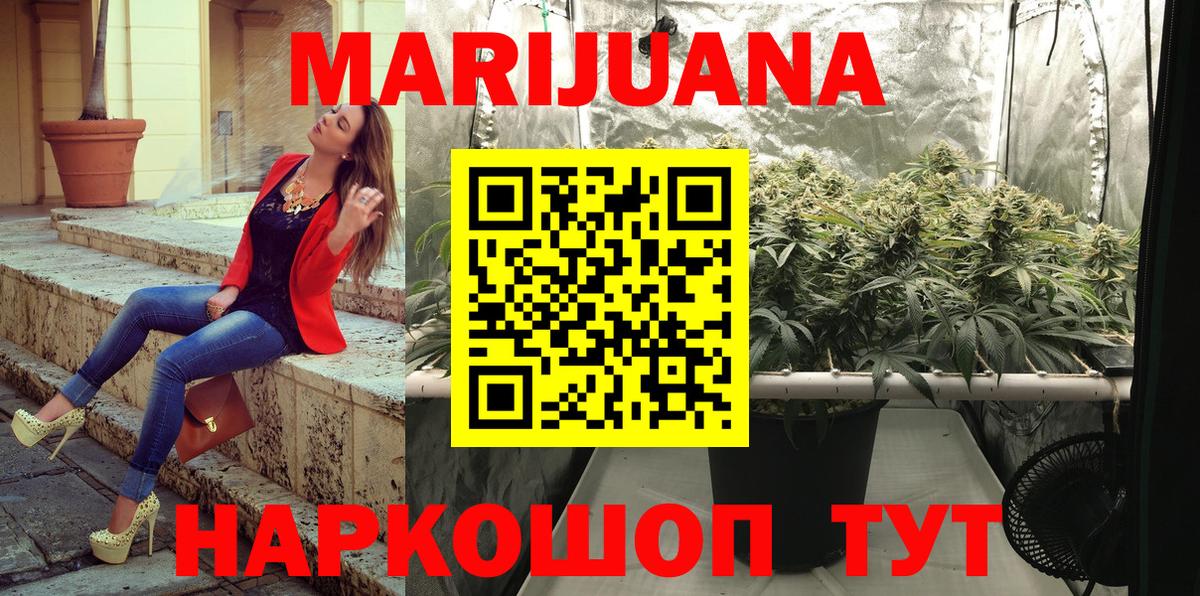 МАРИХУАНА ГИДРОПОН Грозный